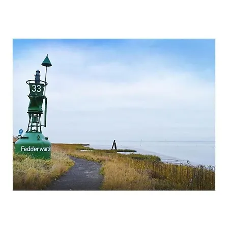 Sea Urchin * בוטיאדינגן